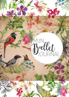 Mijn bullet journal (ISBN 9789045321202)