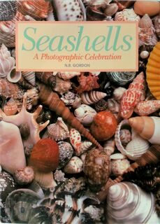 Seashells - N. R. Gordon (ISBN 9780792452638)