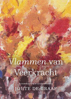 Vlammen van veerkracht - Joute de Graaf (ISBN 9789493349537)