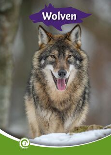 Wolven - Geert-Jan Roebers (ISBN 9789464392029)