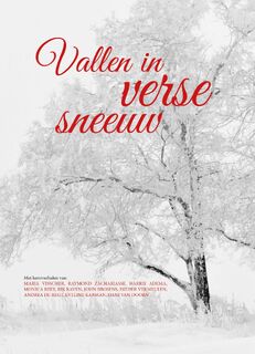 Vallen in verse sneeuw - Raymond Zachariasse, John Brosens, Rik Raven, Esther Vermeulen (ISBN 9789492343505)