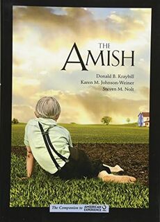 The Amish - Donald B. Kraybill (ISBN 9781421409146)