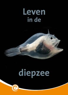 Leven in de diepzee - Geert-Jan Roebers (ISBN 9789464392326)