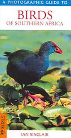 A Photographic Guide to Birds of Southern Africa - Ian Sinclair