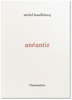 anéantir - Michel Houellebecq (ISBN 9782080271532)