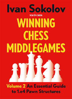 Winning Chess Middlegames - Ivan Sokolov (ISBN 9789083382722)