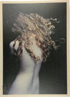 Adornments - Carla van de Puttelaar, Marianne Berardi (ISBN 9789490119560)