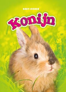 Konijn - Bethanie Olsen (ISBN 9789463411721)