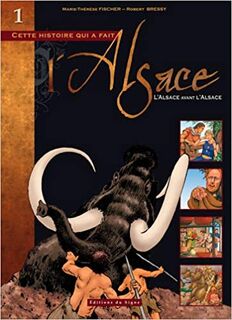 L'Alsace avant l'Alsace - Marie-Thérèse Fischer, Robert Bressy (ISBN 9782746822467)