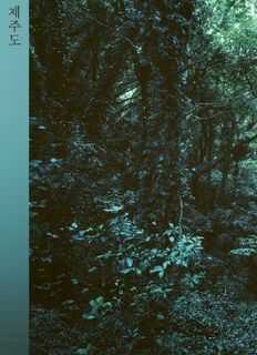 Jejudo - Hyung-Geun Park (ISBN 9789493363137)