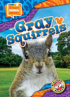Gray Squirrels - Janie Scheffer (ISBN 9798893042399)