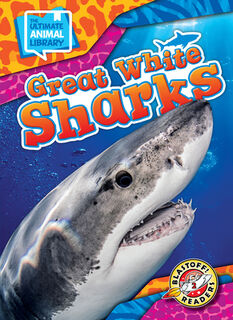 Great White Sharks - Janie Scheffer (ISBN 9798893042405)
