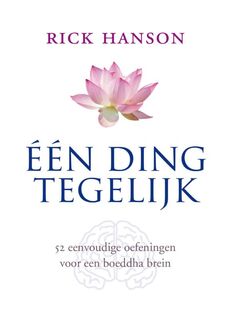 Een ding tegelijk - Rick Hanson (ISBN 9789025901974)