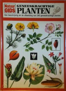 Geneeskrachtige planten - Caron (ISBN 9789024312191)