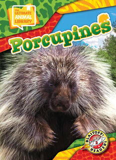 Porcupines - Janie Scheffer (ISBN 9798893044713)