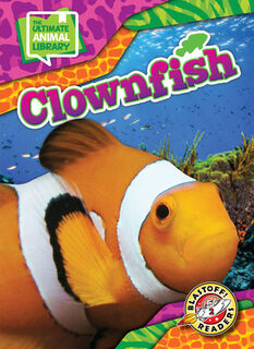 Clownfish - Janie Scheffer (ISBN 9798893044652)
