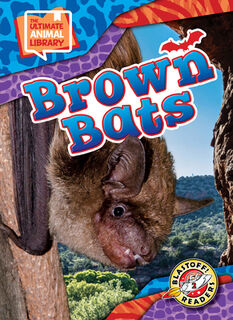 Brown Bats - Janie Scheffer (ISBN 9798893044645)