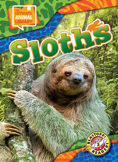 Sloths - Janie Scheffer (ISBN 9798893044744)