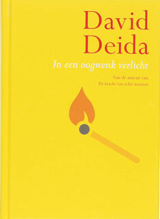 In een oogwenk verlicht - David Deida (ISBN 9789069637839)