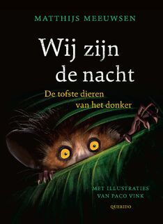 Wij zijn de nacht - Matthijs Meeuwsen (ISBN 9789045130057)