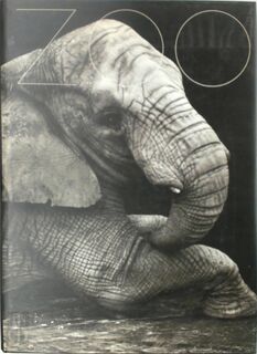 ZOO - Gary Heery (ISBN 9783895085352)