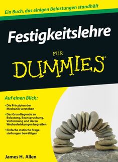 Festigkeitslehre fur Dummies - James H. Allen (ISBN 9783527709182)