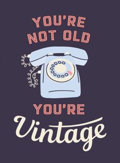 You're Not Old, You're Vintage - Summersdale Publishers (ISBN 9781837993567)