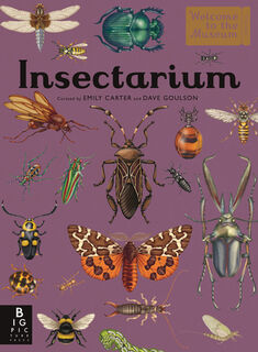 Insectarium: Welcome to the Museum (an Illustrated Junior Entomology Guide to Wild Bug Species, Biodiversity, and Nature Conservation for Kids Ages 8- - Dave Goulson (ISBN 9781536241143)