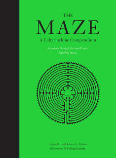 The Maze (ISBN 9781786273222)
