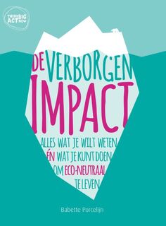 De verborgen impact - Babette Porcelijn (ISBN 9789082510201)
