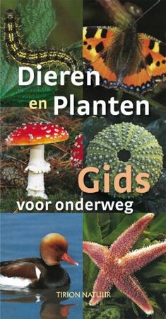 De dieren en plantengids voor onderweg - Wilhelm Eisenreich, Alfred Handel, Ute E. Zimmer De dieren en plantengids voor onderweg - Wilhelm Eisenreich, Alfred Handel, Ute E. Zimmer