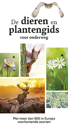 De dieren- en plantengids voor onderweg - Wilhelm Eisenreich