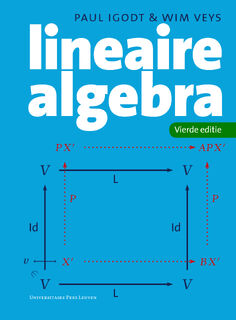 Lineaire algebra - Paul Igodt, Wim Veys (ISBN 9789462704909)