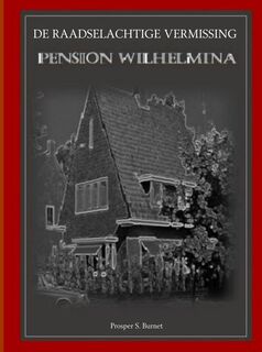 DE RAADSELACHTIGE VERMISSING - Prosper S. Burnet (ISBN 9789463861571)