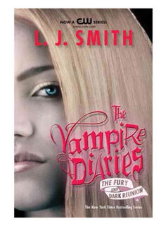 The Fury and Dark Reunion - L. J. Smith (ISBN 9780061140983)