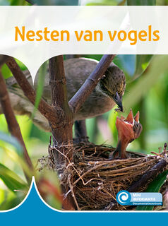 Nesten van vogels - Bouwina de Jong (ISBN 9789463418270)