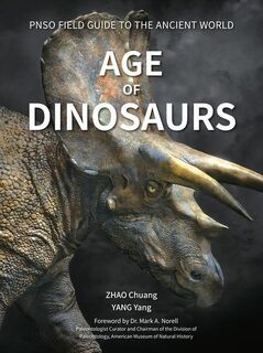 AGE OF DINOSAURS - Yang Yang (ISBN 9781612545288)