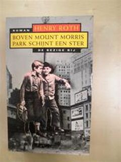 Boven Mount Morris Park schijnt een ster - Henry Roth (ISBN 9789023434412)