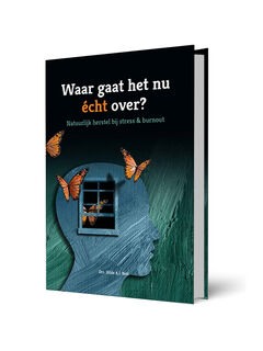 Waar gaat het nu echt over? - Hilde Bolt (ISBN 9789078876403)