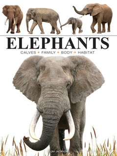 Elephants - Tom Jackson (ISBN 9781838863593)
