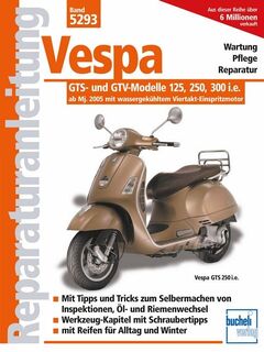 Vespa GTS 125/250/300 - ab Modelljahr 2005 - Franz Josef Schermer (ISBN 9783716821503)
