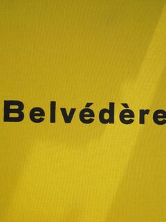 Museum Belvédère - R. Hodel (ISBN 9789080905627)