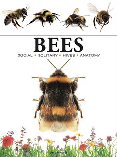 Bees - Tom Jackson (ISBN 9781838863579)
