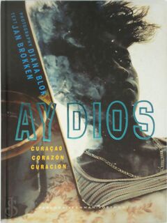 Ay dios - Diana Blok, Jan Brokken (ISBN 9789027815576)