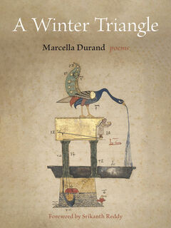 A Winter Triangle - Marcella Durand (ISBN 9781531511708)