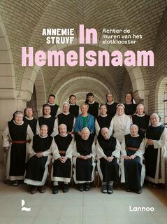 In hemelsnaam - Annemie Struyf (ISBN 9789059960305)