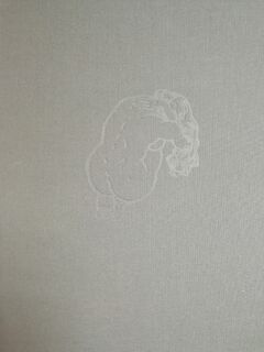 Zij. Caurisurata pancasika - Hugo Claus