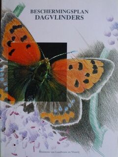 Beschermingsplan dagvlinders - Netherlands. Ministerie van Landbouw En Visserij . Beschermingsplan Dagvlinders