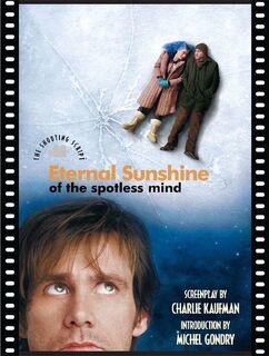 Eternal Sunshine of the Spotless Mind - Charlie Kaufman, Michel Gondry, Rob Feld (ISBN 9781557046109)