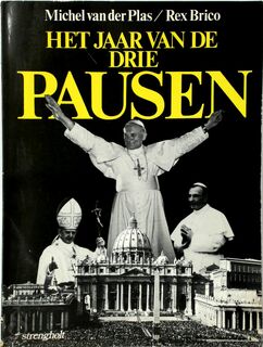 Jaar van de drie pausen - Michel van der Plas, Rex Brico (ISBN 9789060104347)